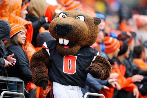 From Puzzle to Mascot: The Rise of the Collegiate Beaver in the NYT Crossword